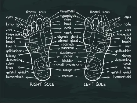 Hand Reflexology Massage healing and foot 1 Hand Reflexology Massage