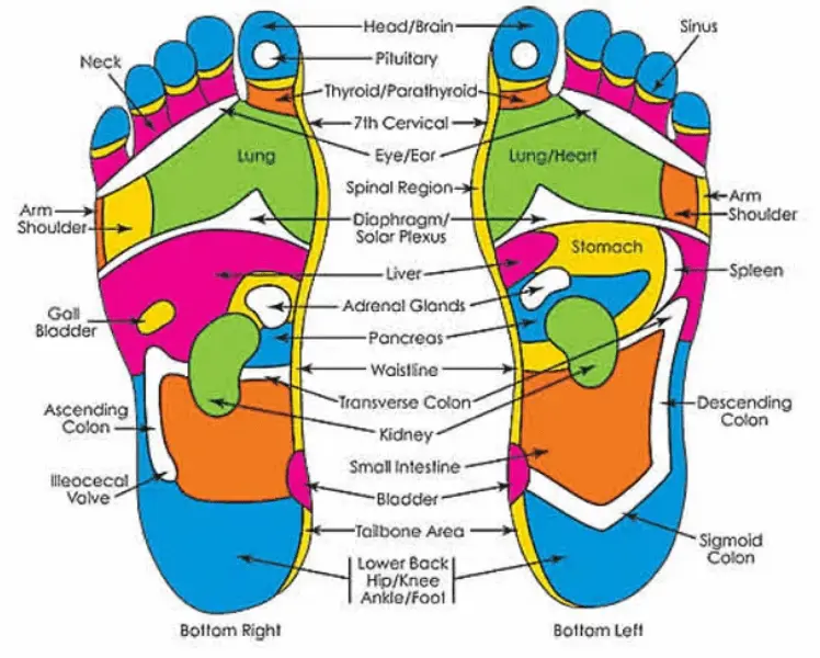 best reflexology massage near me 1 reflexology massage