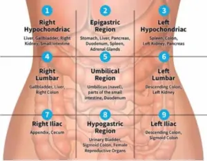 Abdominal Stomach Massage